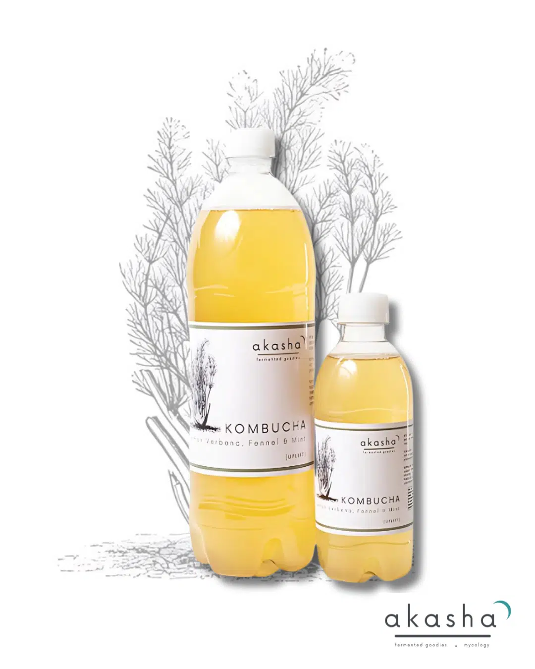 AKASHA KOMBUCHA - UPLIFT